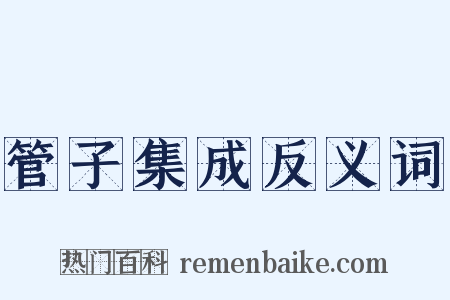 管子集成反义词是什么意思的图片